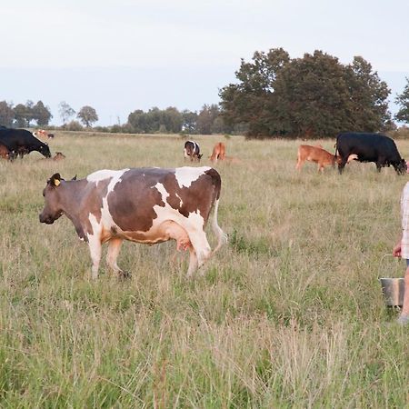 Agroturystyka Lolkowo Srokowo Extérieur photo