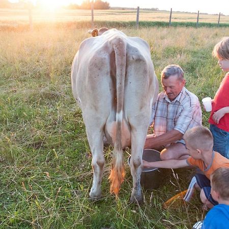Agroturystyka Lolkowo Srokowo Extérieur photo
