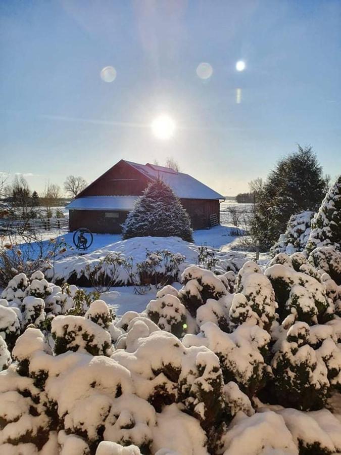 Agroturystyka Lolkowo Srokowo Extérieur photo