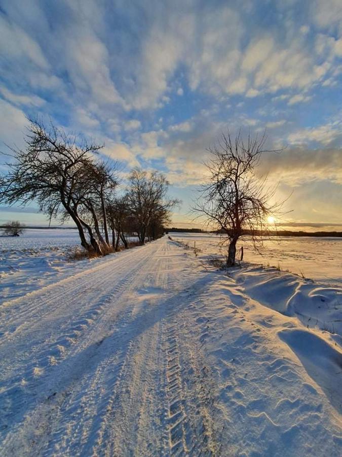 Agroturystyka Lolkowo Srokowo Extérieur photo