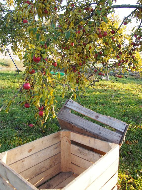 Agroturystyka Lolkowo Srokowo Extérieur photo