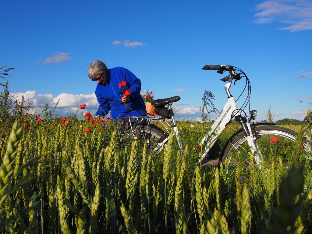 Agroturystyka Lolkowo Srokowo Extérieur photo