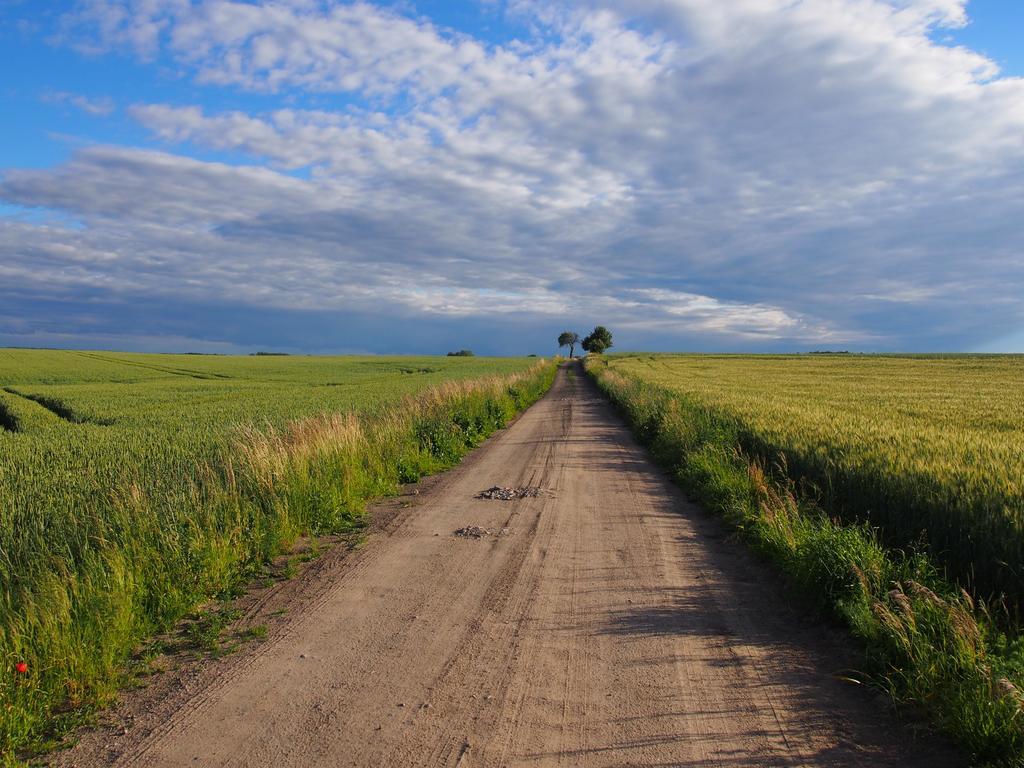 Agroturystyka Lolkowo Srokowo Extérieur photo
