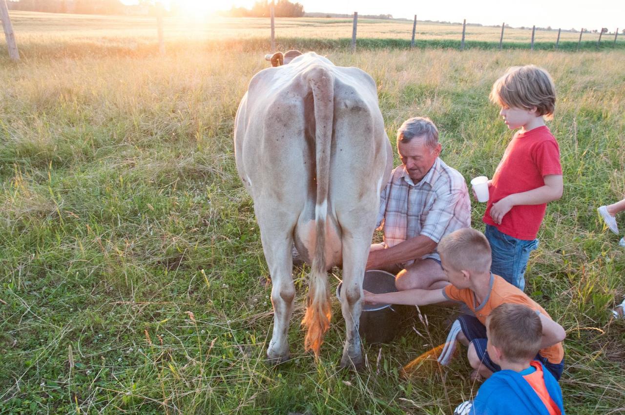 Agroturystyka Lolkowo Srokowo Extérieur photo
